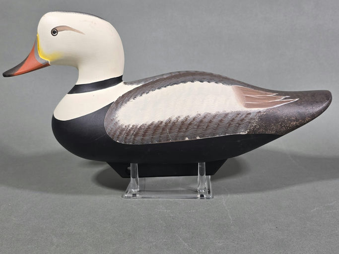 Jim Pierce – Labrador Duck – 2026