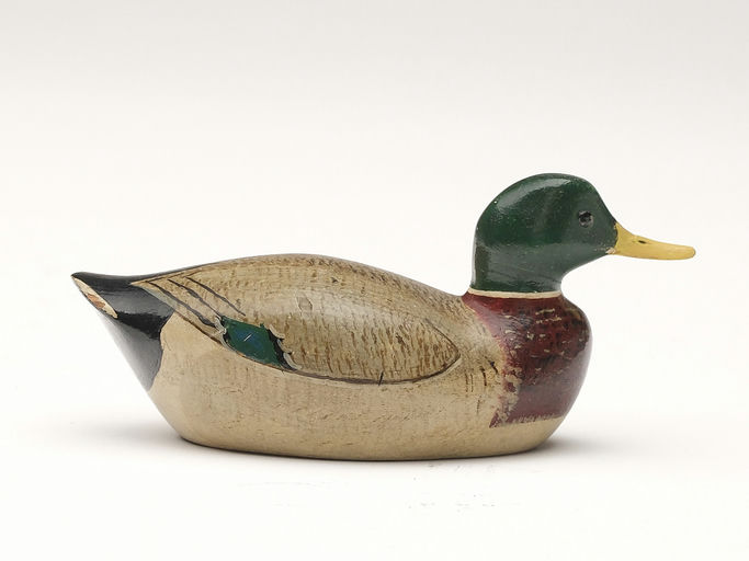 George Boyd – Mallard – 2023