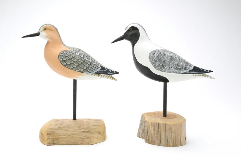 Harry V. Shourds – Shorebird – 2025