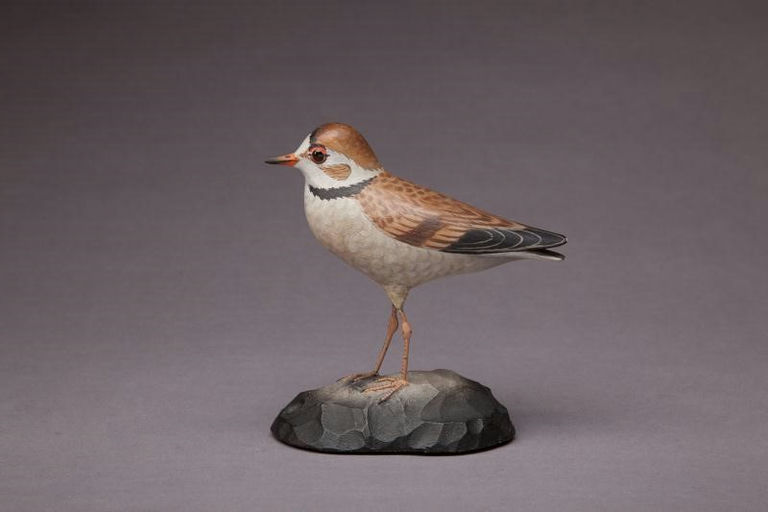 Elmer Crowell – Piping Plover – 2012
