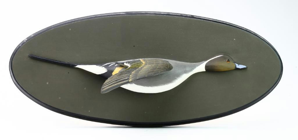 George Strunk – Pintail – 2023