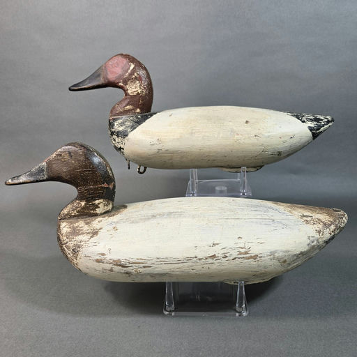 James Holly – Canvasback – 2026