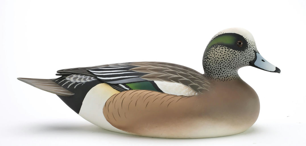 Oliver Lawson – Wigeon – 2024