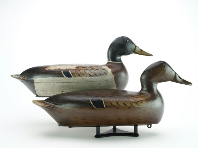 Bert Graves – Mallard – 2024