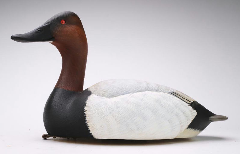 Tom Matus – Canvasback – 2024