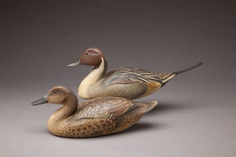 Robert Bates – Pintail Pair – 2011