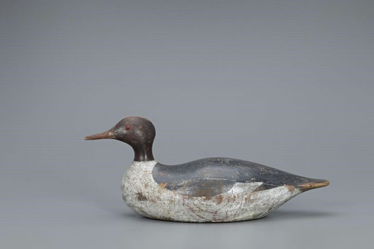 Joseph Lincoln – Merganser Hen – 2019
