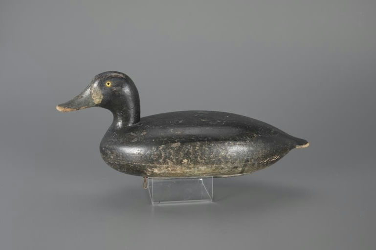 Charles Schoenheider, Sr. – Bluebill Hen – 2024