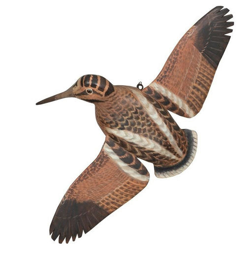 James Joseph Ahearn – Woodcock – 2020