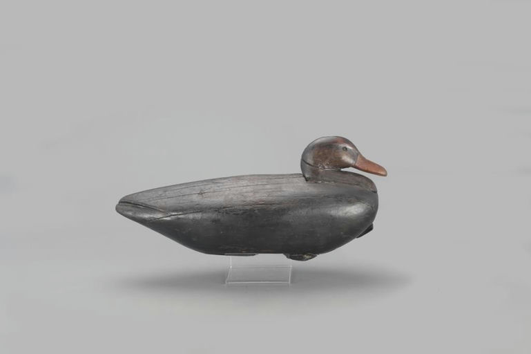 Eli Doughty – Black Duck – 2021