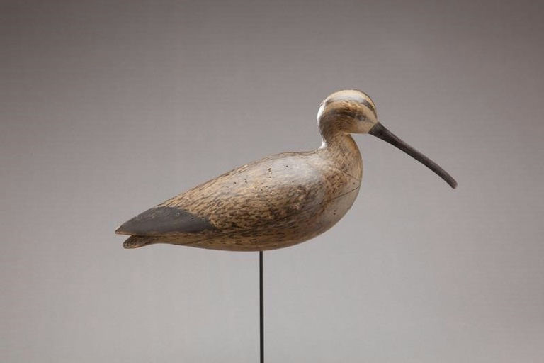 Mark McNair – Hollow Curlew – 2013