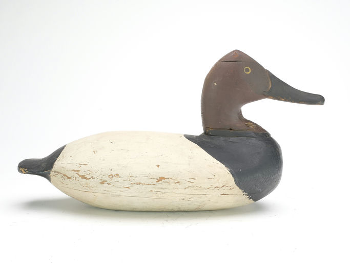 William Heverin – Canvasback – 2023