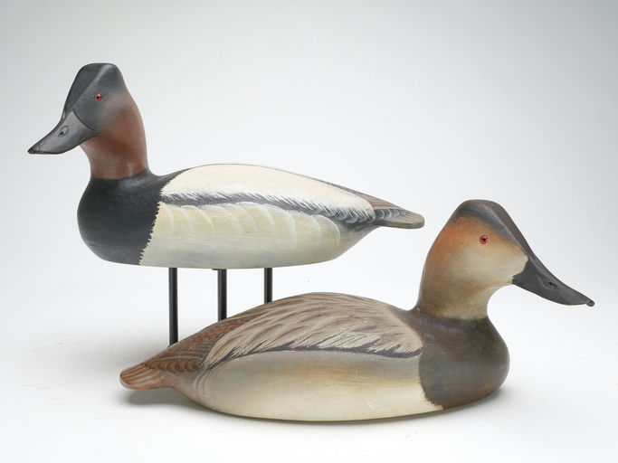 Ward Brothers – Pair of canvasbacks – 2023