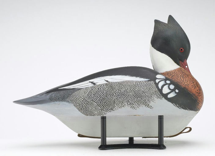 Keith Mueller – Merganser – 2024