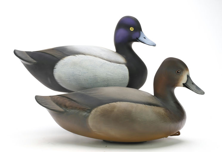 Sean Sutton – Pair of Bluebill – 2024