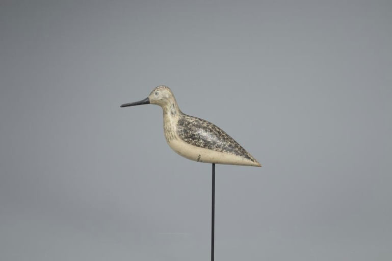 Harry V. Shourds – Yellowlegs – 2020