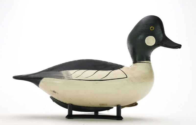 Pete Peterson – Goldeneye – 2024
