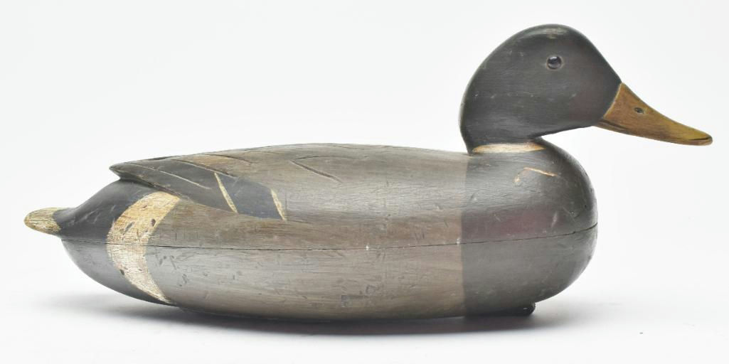 Dan English – Mallard – 2023