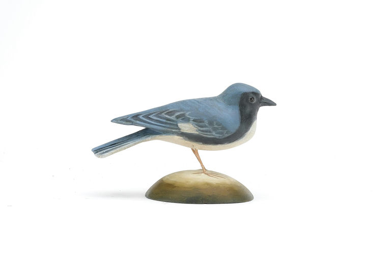 Frank Finney – Miniature black-throated blue warbler – 2024