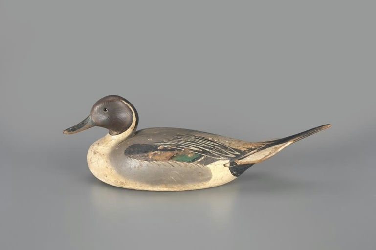 Oliver Lawson – Early Pintail Drake – 2024
