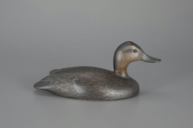 Nichol Family – Black Duck – 2024