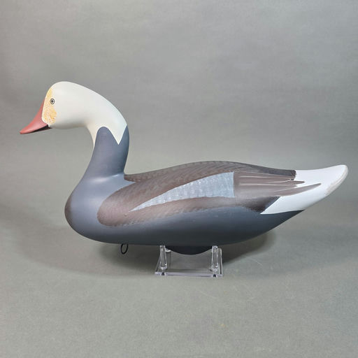 Jim Pierce – Blue Goose – 2026