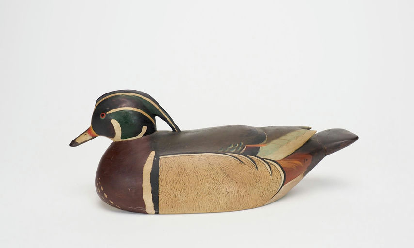 Harold Gibbs — Wood Duck Drake