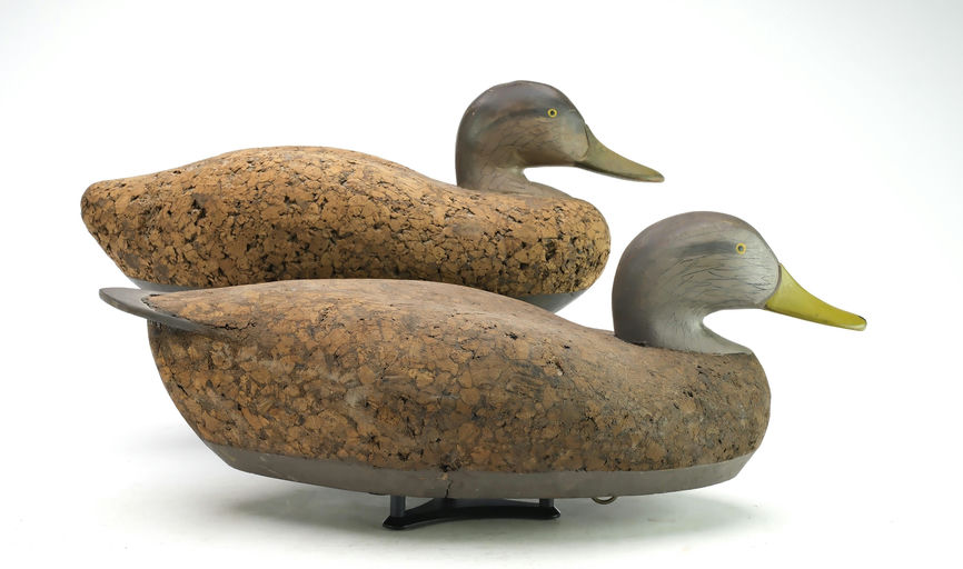 R. Madison Mitchell – Pair of Black Ducks – 2025