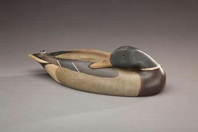 Edward Ted Mulliken – Preening Mallard Drake – 2012