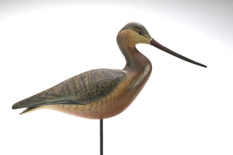 Bill Gibian – Godwit – 2025