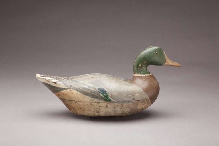 Charles Bergman – Mallard Drake – 2011
