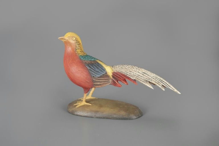 Frank Finney – Miniature Golden Pheasant – 2024