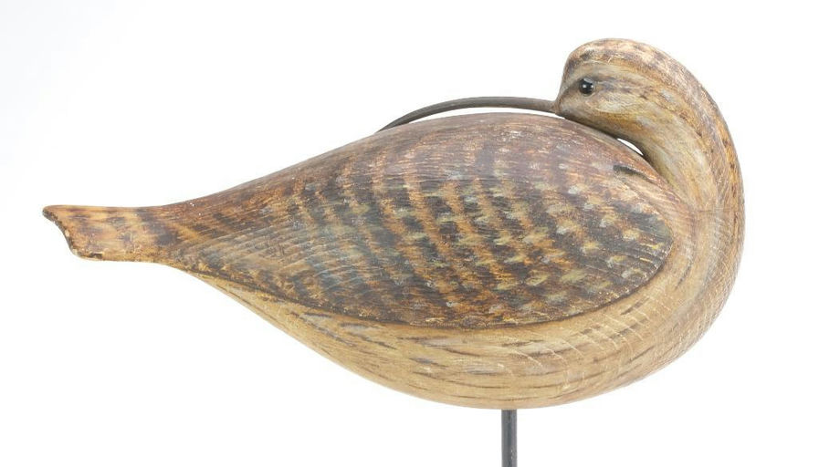 David Ward – Curlew – 2023