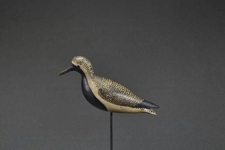 Mark McNair – Black-Bellied Plover – 2017
