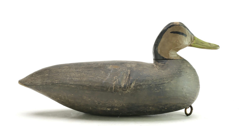 Doug Jester – Black Duck – 2025