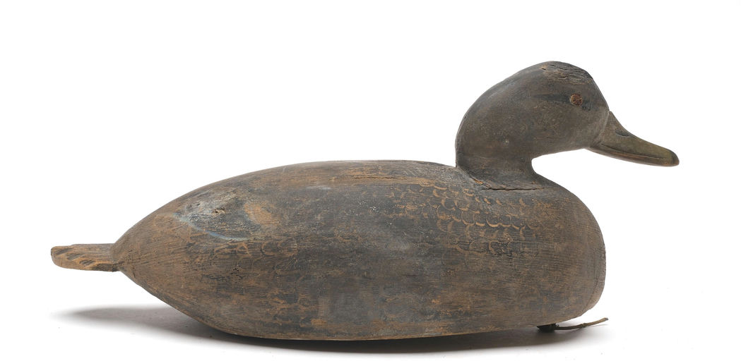 Ira Hudson – Black Duck – 2026