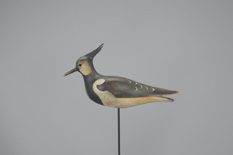 Mark McNair – Northern Lapwing – 2023