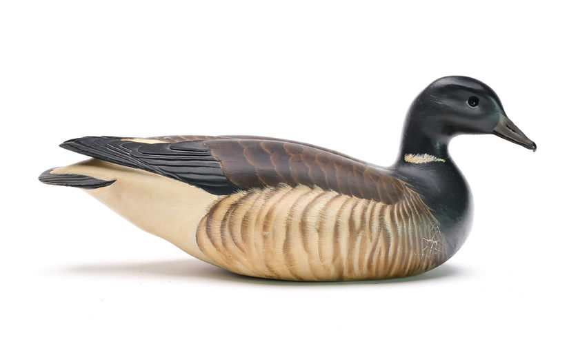 Ward Brothers – Decorative Brant – 2025