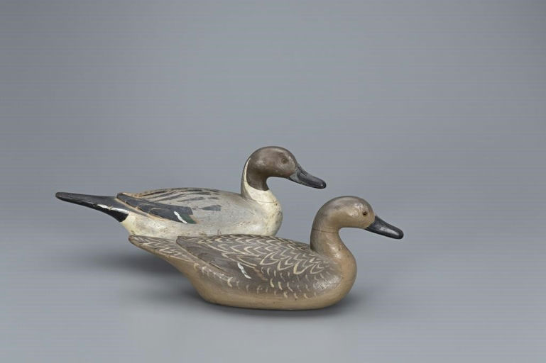 Richard Janson – Important Pintail Pair – 2019