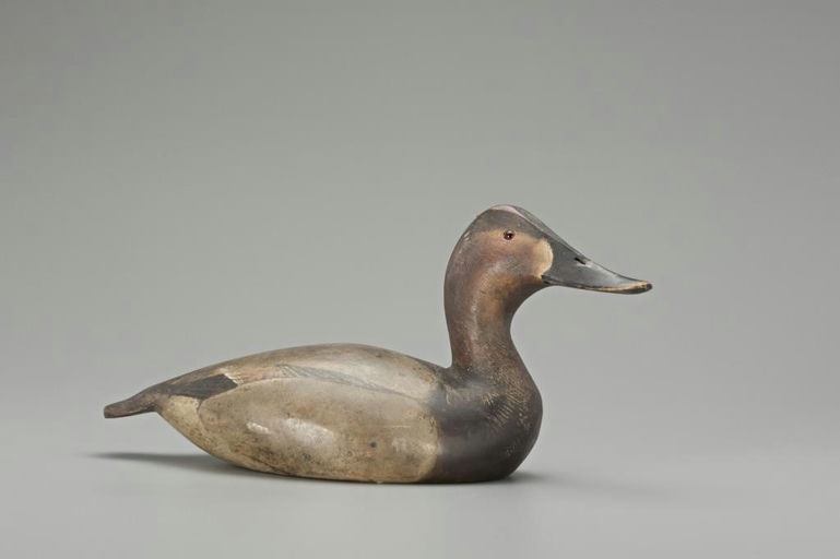 Ward Brothers – Canvasback Hen – 2018