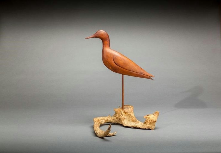 Ward Brothers – Rare Shorebird – 2014