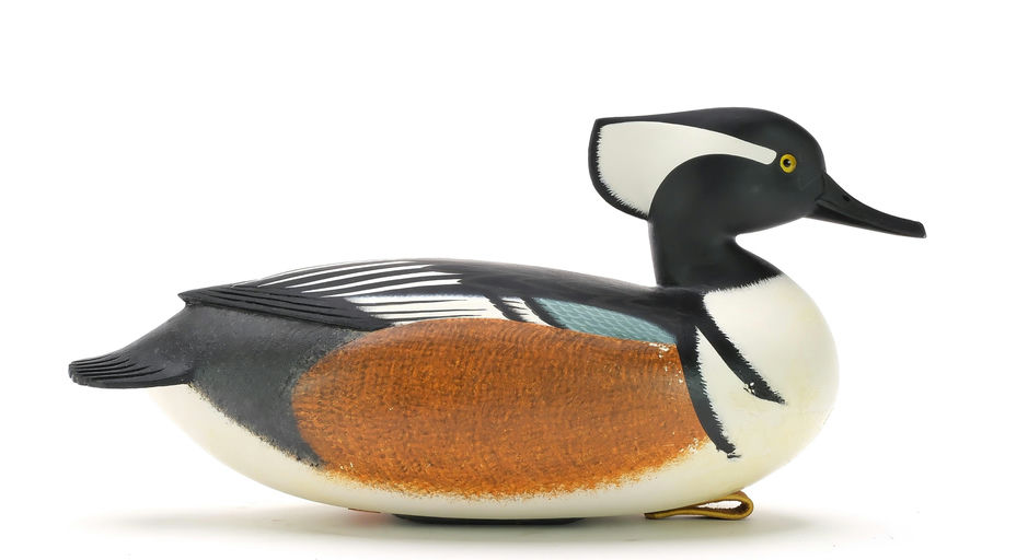 Rick Brown – Hooded Merganser – 2024