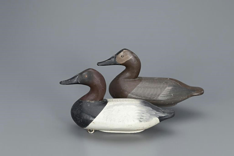 Henry Lockard – Canvasback Pair – 2020