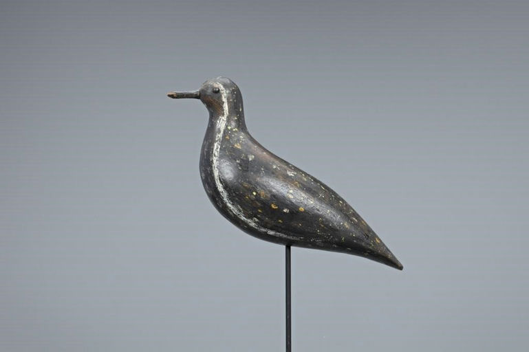 W. J. Smith Rig – Golden Plover – 2019