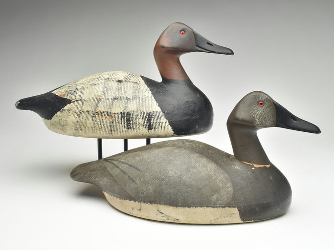 Frank Strey – Canvasback – 2023
