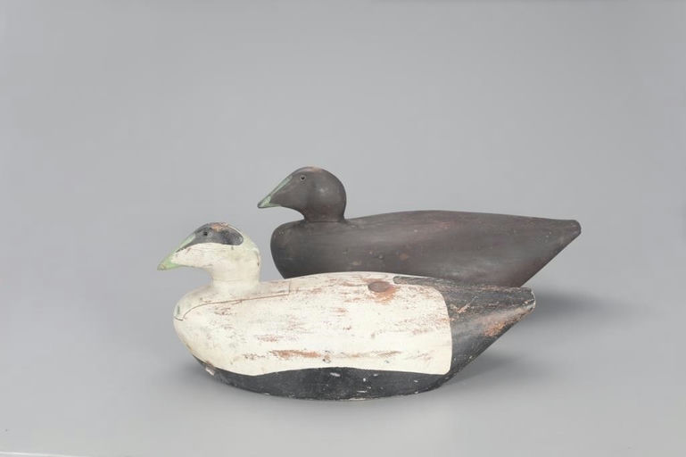 Merritt P. Pinkham – Rockefeller Eider Pair – 2021