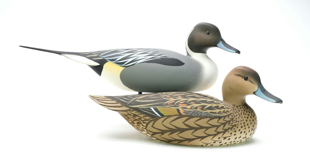 Oliver Lawson – Pair of Pintail – 2025