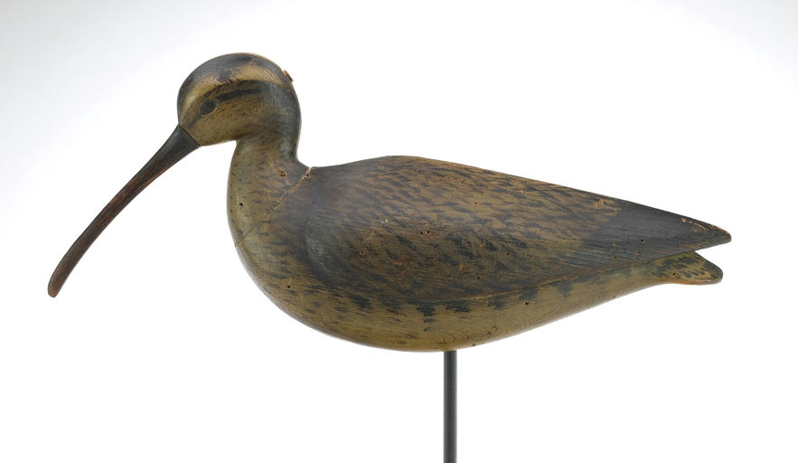 Mark McNair – Curlew – 2024