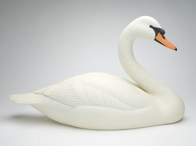 Oliver Lawson – Mute Swan – 2023