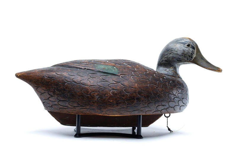 Frank Schmidt – Black Duck – 2026